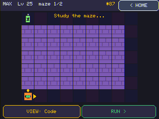 One program, many mazes